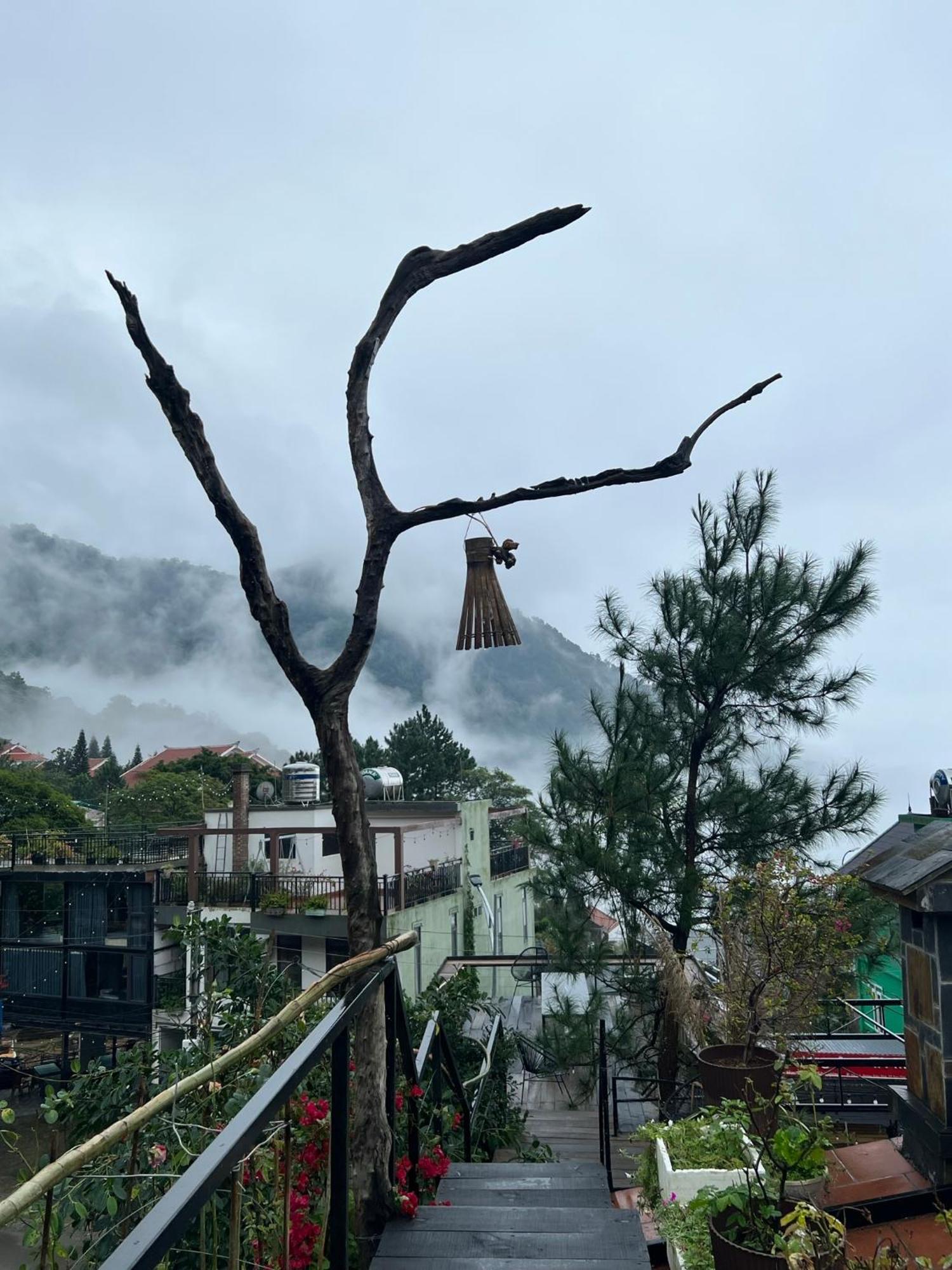 Bach Xanh House. Triangle Bungalow Tam Ðảo Kültér fotó